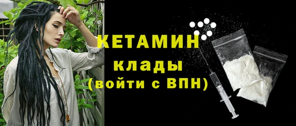 хмурый Аркадак