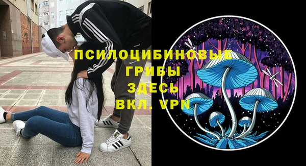 хмурый Аркадак
