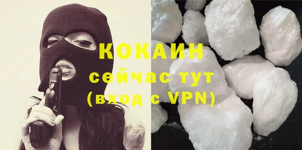 хмурый Аркадак