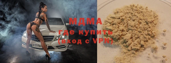 хмурый Аркадак