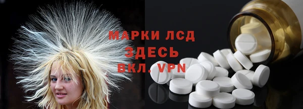 хмурый Аркадак