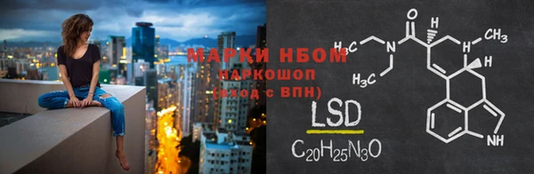 хмурый Аркадак