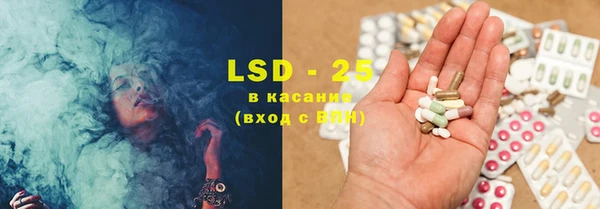 хмурый Аркадак