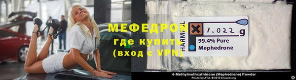 хмурый Аркадак