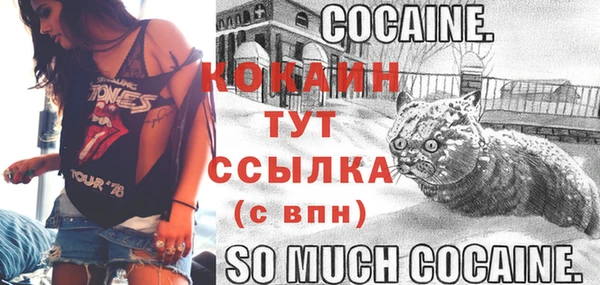 мяу мяу кристалл Арсеньев