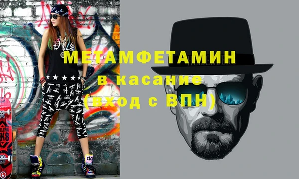 хмурый Аркадак