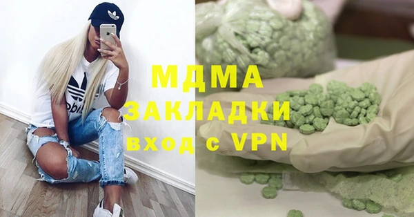 хмурый Аркадак