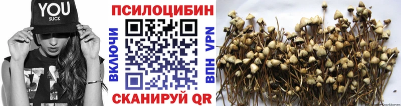 Галлюциногенные грибы Psilocybe  Невельск 